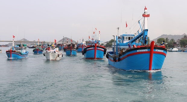 Kien Giang, Ca Mau coordinate in combating IUU fishing hinh anh 1