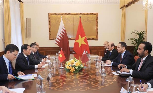 Potential remains for Vietnam, Qatar to enhance ties: officials hinh anh 1