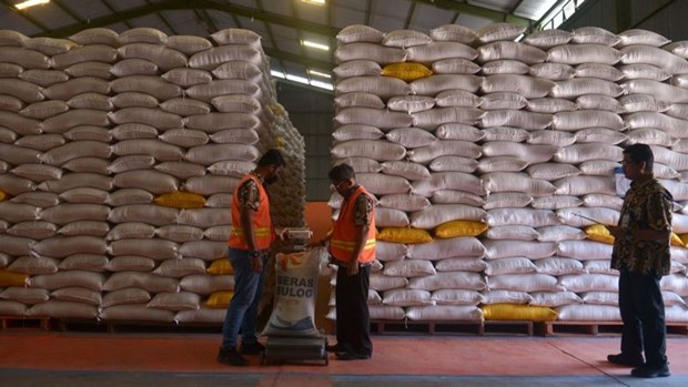 Indonesia’s rice reserves secured until year's end hinh anh 1