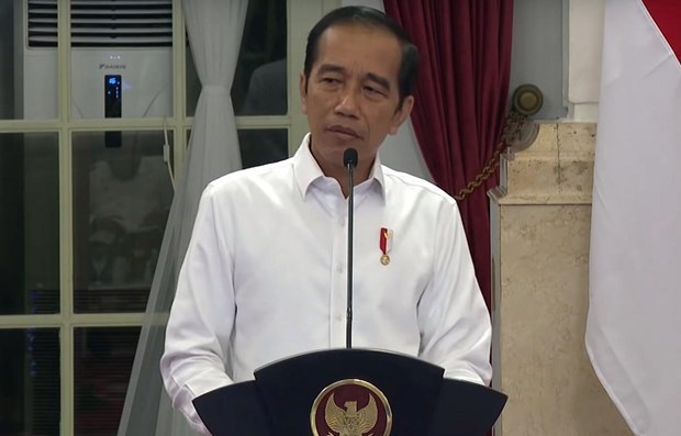 Indonesia lowers budget deficit limit for 2023 hinh anh 1