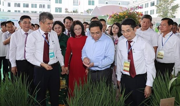 PM emphasises training of high-quality human resources for agriculture hinh anh 1