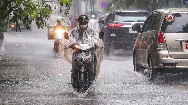 Vietnam's mainland may be hit by 3-5 storms from now to early 2023 hinh anh 1