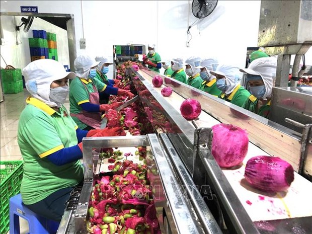 Workshop helps fresh fruit exporters learn about China’s new regulations hinh anh 1