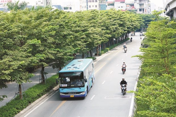 Hanoi greening urban roads hinh anh 1