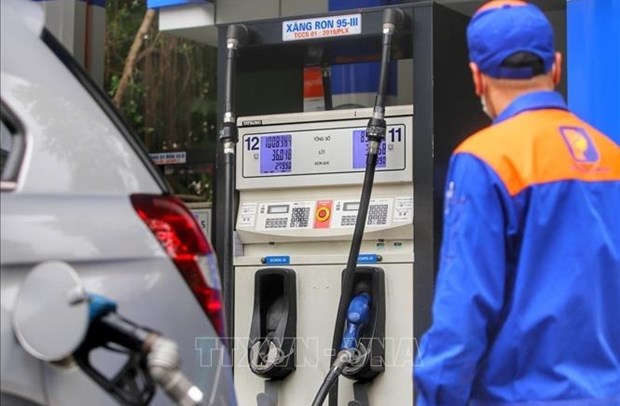 Petrol prices unchanged in latest adjustment hinh anh 1