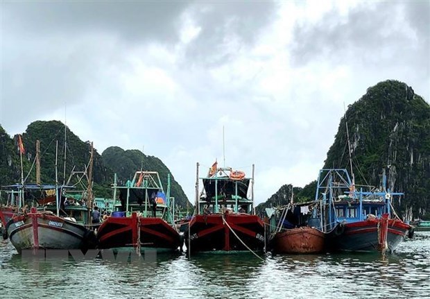 Third storm imminent to East Sea: forecasting centre hinh anh 2