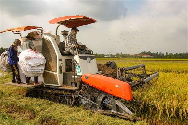 Vietnam witnesses improved mechanisation in agriculture hinh anh 1