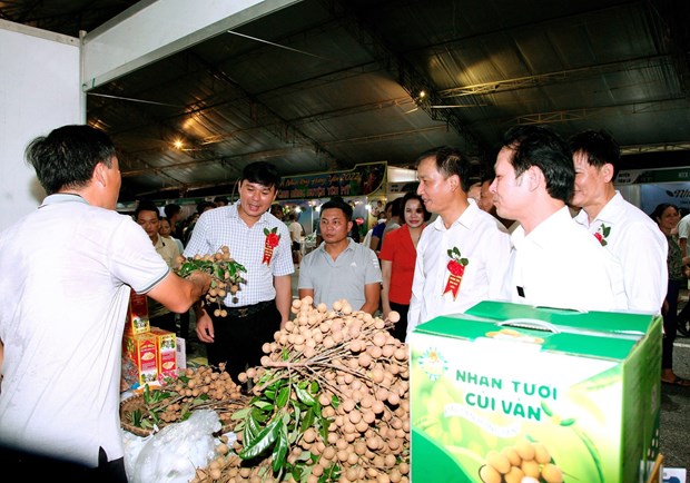 Longan trade fair opens in Hung Yen province hinh anh 1