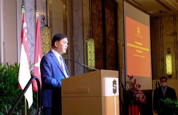 Vietnam, Singapore share fruitful all-round partnership: Ambassador hinh anh 2