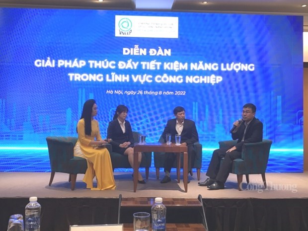 High time for Vietnam to end wasteful use of energy: Experts hinh anh 1