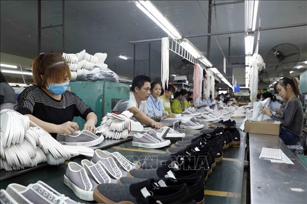 Vietnam’s leather, footwear exports exceed 14 billon USD in 7 months hinh anh 1