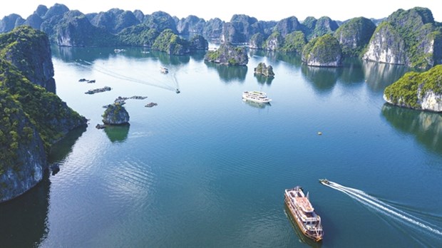 Cat Ba island, the 'pearl' of the north for tourists hinh anh 1