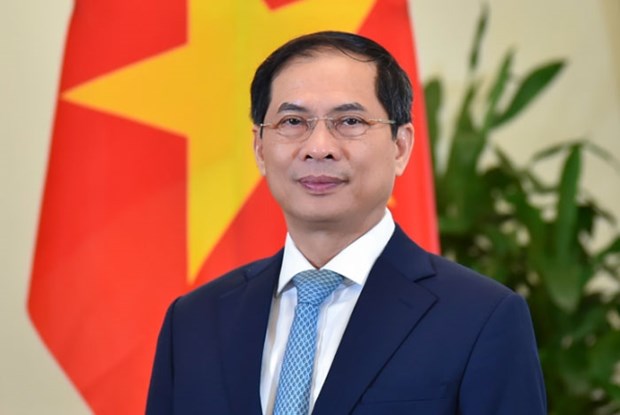 Diplomatic sector makes great contributions to national defence, construction hinh anh 1