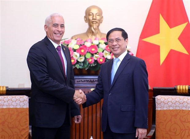 Foreign minister hosts visiting Cuban diplomat hinh anh 1