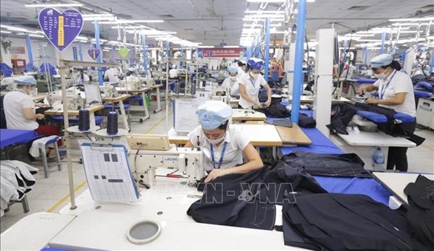 Textile - garment exports to grow further this year hinh anh 1