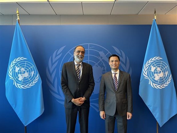 Vietnam wishes to collaborate with UN in digital transformation: ambassador hinh anh 1