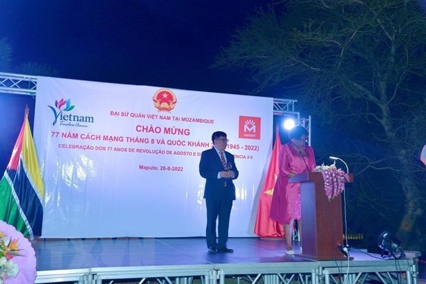 Mozambique looks to stronger cooperation with Vietnam hinh anh 1