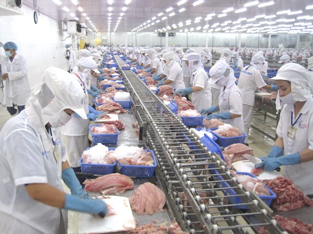 Mekong Delta province targets 980 million USD from tra fish exports hinh anh 1