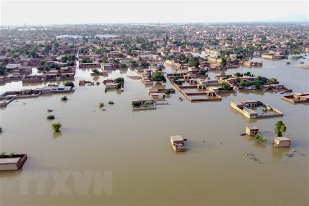 Vietnamese leaders extend sympathy to Pakistan after deadly floods hinh anh 1