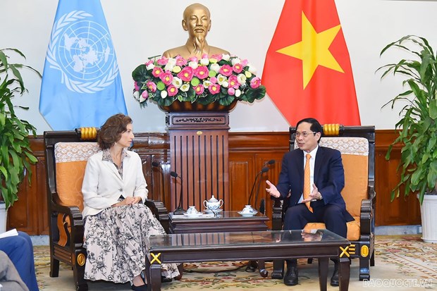 Vietnam looks to UNESCO’s support for World Heritage Committee candidacy: FM hinh anh 1