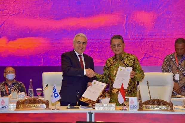 Indonesia unveils net zero emission roadmap hinh anh 1