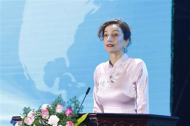 Vietnam fully taps potential of UNESCO cultural treaties: Director General hinh anh 1