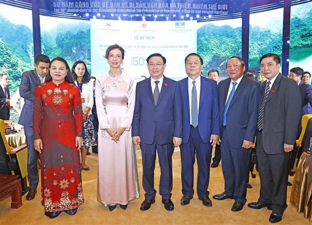 Vietnam fully taps potential of UNESCO cultural treaties: Director General hinh anh 3