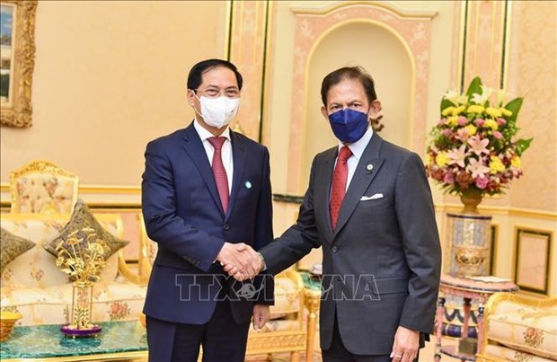 Vietnam – an important partner of Brunei: Sultan Haji Hassanal Bolkiah hinh anh 1