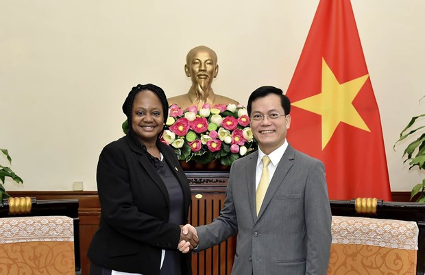 Vietnam ready to promote comprehensive partnership with US hinh anh 1