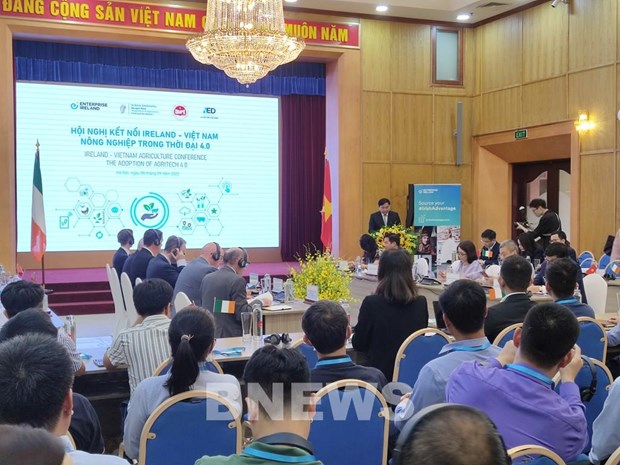 Conference connects Vietnam-Ireland agricultural businesses hinh anh 1