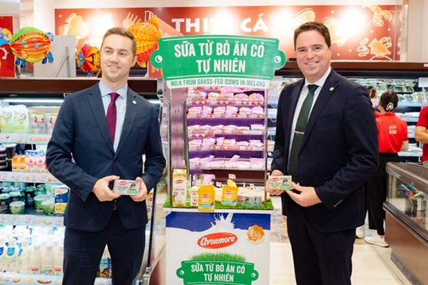 Irish Food Board to increase exports of agricultural products to Vietnam hinh anh 1