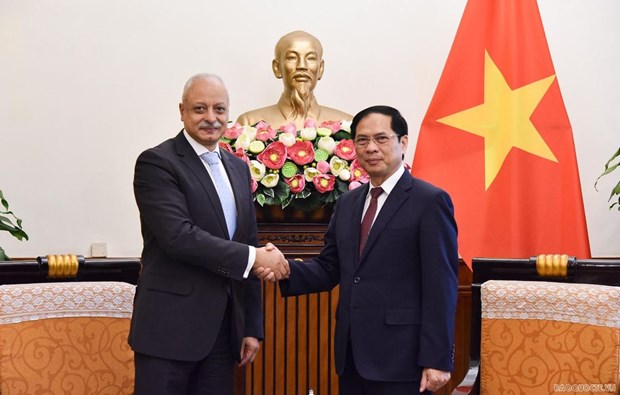Vietnam aims to reinforce relations with Egypt: FM hinh anh 1