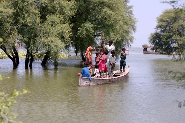 Top legislator offers sympathy to Pakistan over flood losses hinh anh 1