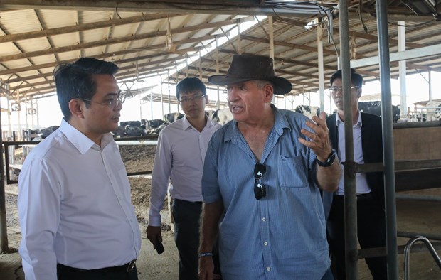 Vietnam learns about collective economy models in Israel hinh anh 1