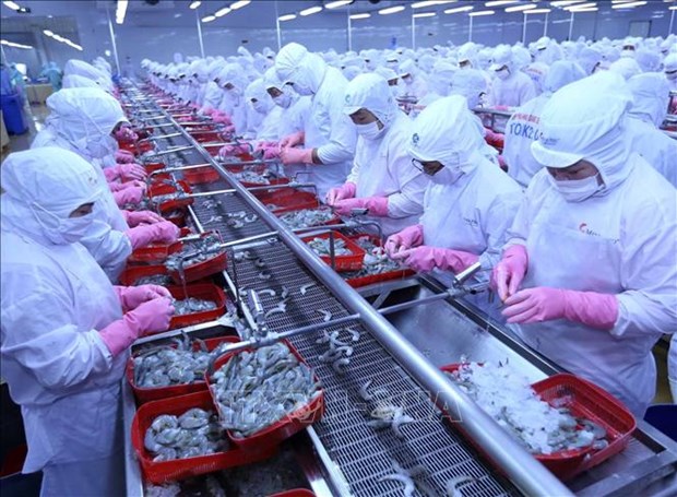 Vietnam’s aquatic exports to Russia record strong rebound hinh anh 1