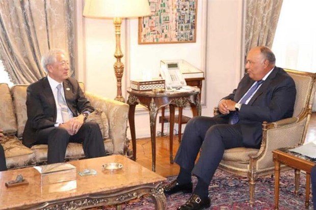 Egypt wishes to develop relations with Singapore hinh anh 1