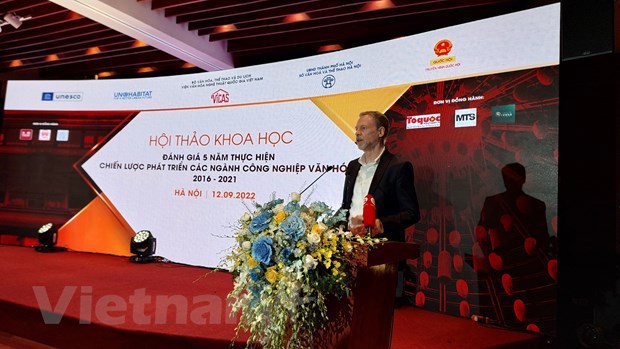 Vietnam well develops cultural industries: UNESCO representative hinh anh 2