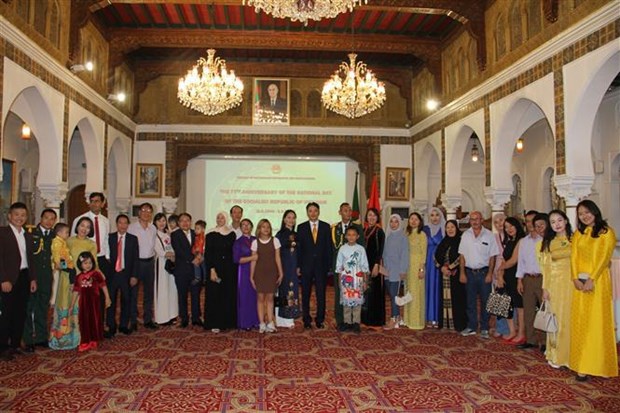 Le Vietnam croit en la croissance future des relations avec l'Algérie: l'ambassadeur Hinh Anh 2