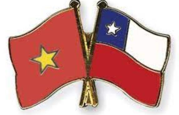 Vietnam - Mayor socio comercial de Chile en el Sudeste Asiático: Embajador Hin Anh 1