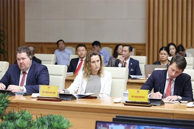 Foreign business representatives recommend solutions to promote Vietnam's development hinh anh 1