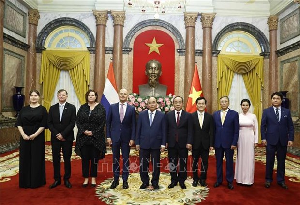 President hosts newly-accredited ambassadors hinh anh 1