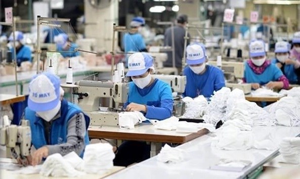 Measures suggested to boost labour market sustainability hinh anh 1
