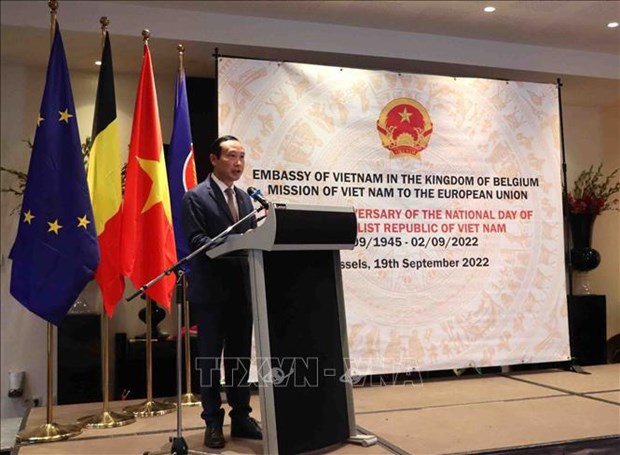 Vietnam’s relations with Belgium, EU now at their prime: ambassador hinh anh 1