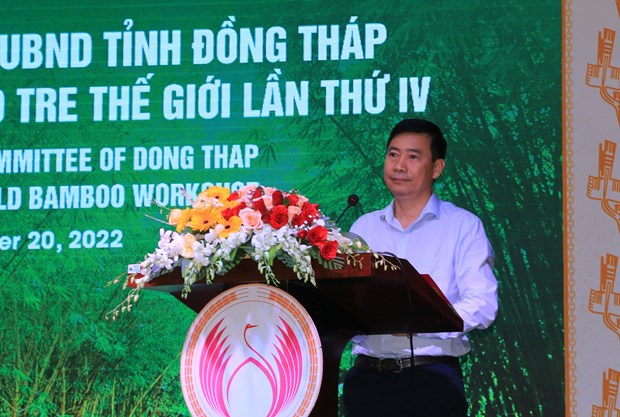 Dong Thap combines bamboo conservation with ecotourism hinh anh 1