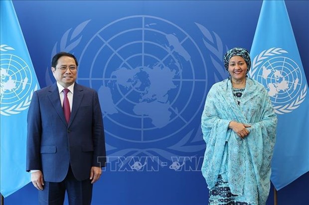 Effective contributions at UN bring practical benefits to Vietnam: Ambassador hinh anh 2