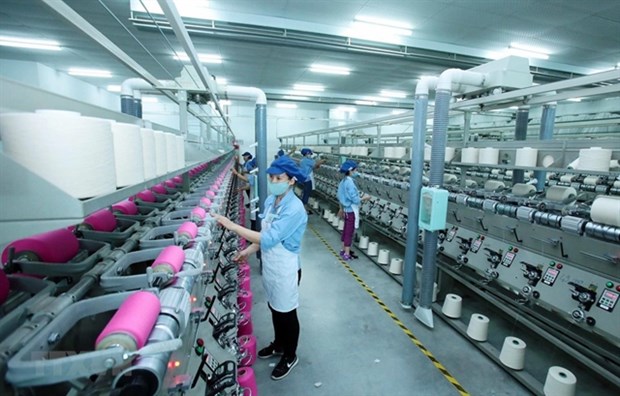 Garment sector's local procurement rate up but challenges ahead hinh anh 1