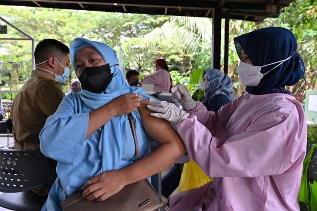 Indonesia joins global vaccine network hinh anh 1