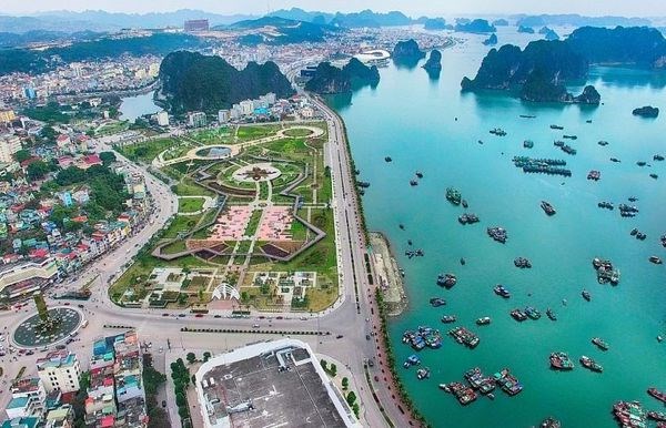 Quang Ninh aims to become fisheries hub of the North hinh anh 1