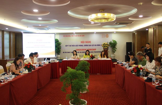 Workshop discusses revised draft law on anti-domestic violence hinh anh 1