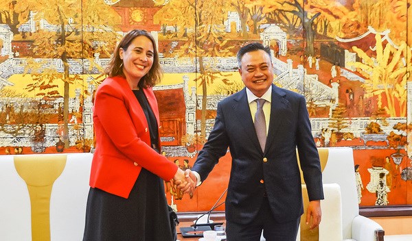 Hanoi seeks stronger partnership with Denmark, New Zealand hinh anh 2